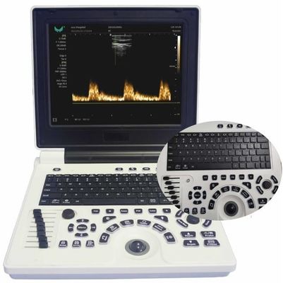 Qualität  12in LCD Display Veterinary Ultrasound Equipment For Large Animals FDA ISO Fabrik